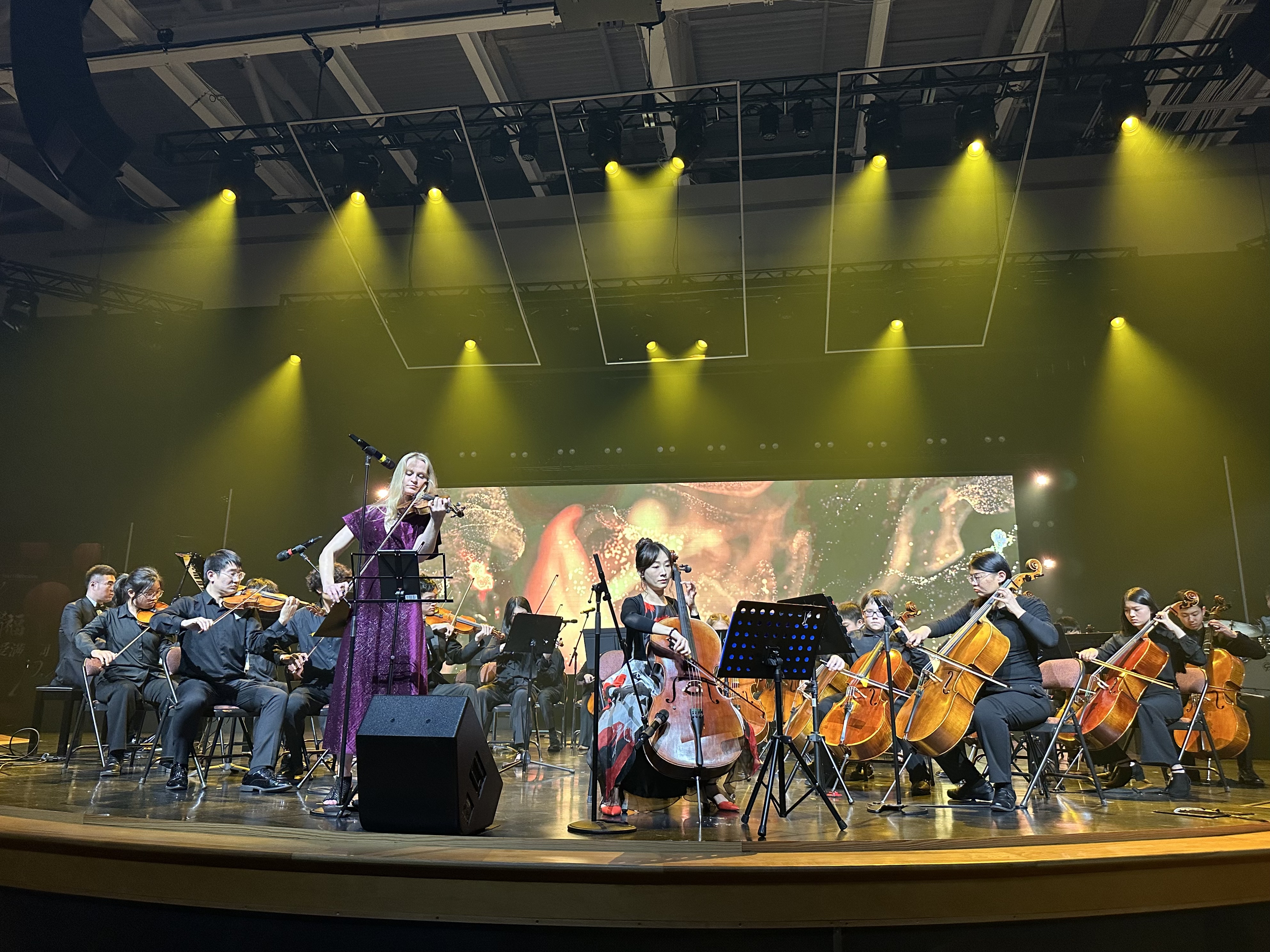 Orchestra Performance